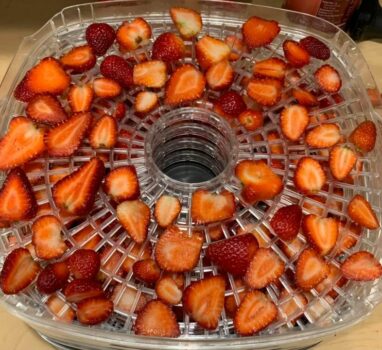 草莓大豐收