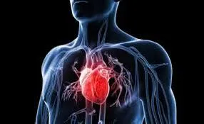 今天健康之音直播主題：中年人如何把心臟變年輕？