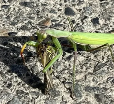本週健康之音要延期，因我正在搬家，等有空再來直播。