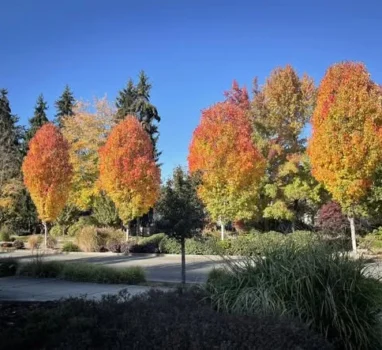 今天健康之音直播主題：為什麼有人不重視健康？