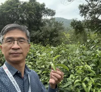 參訪古茶園