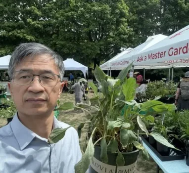 今天是週末，路過Wallingford 一年一度的幼苗拍賣。